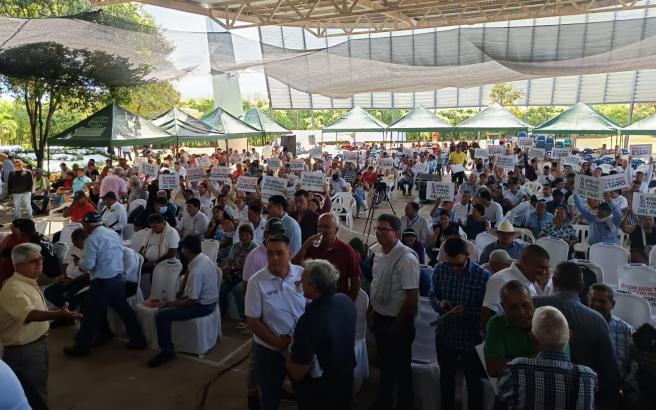 arroceros