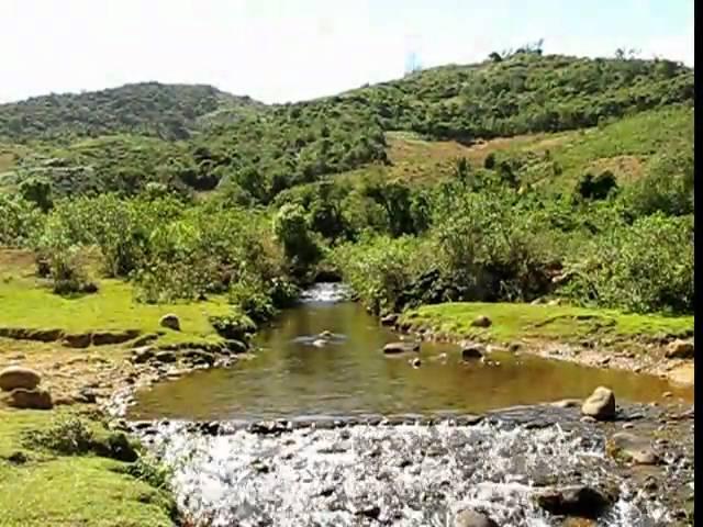 Cortolima