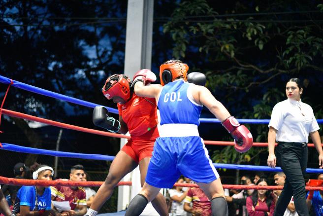 Boxeo