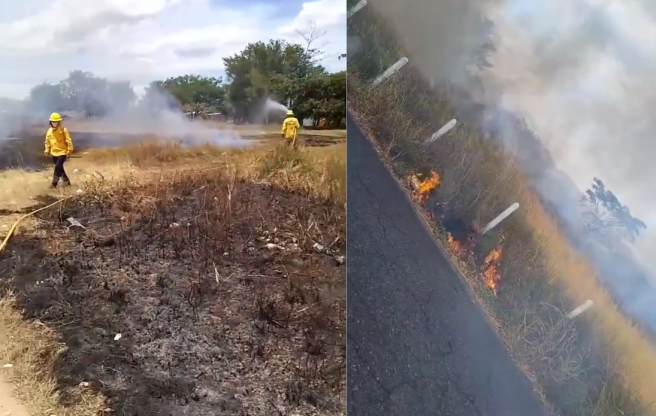 Incendios forestales