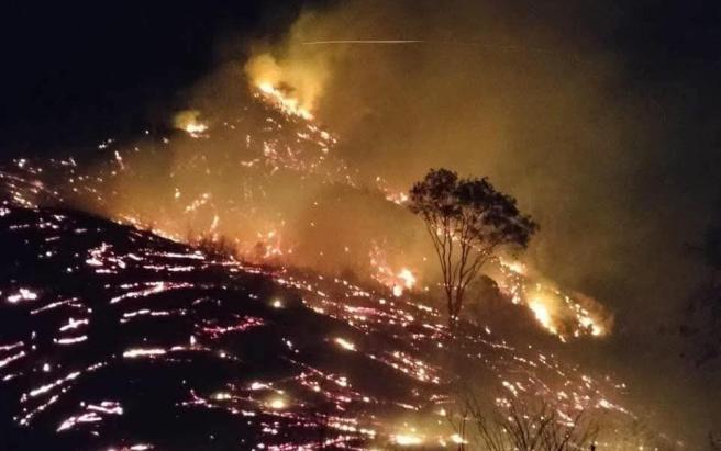 Incendio forestal