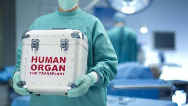 A la Cámara llega el proyecto que modernizalas normas sobre transplantes de +órgamos en Colombnoa