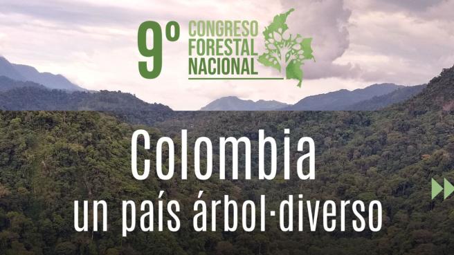 9no congreso forestal nacional
