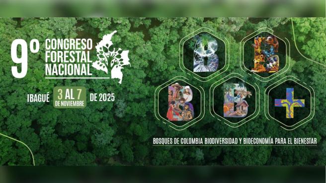 9no congreso forestal nacional 1