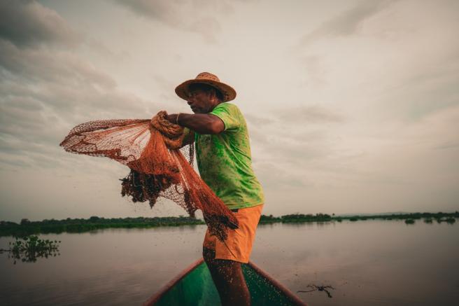 Colobia busca seguridad alimentaria mediante proteccipon de áreas agrícolas y acuícolas