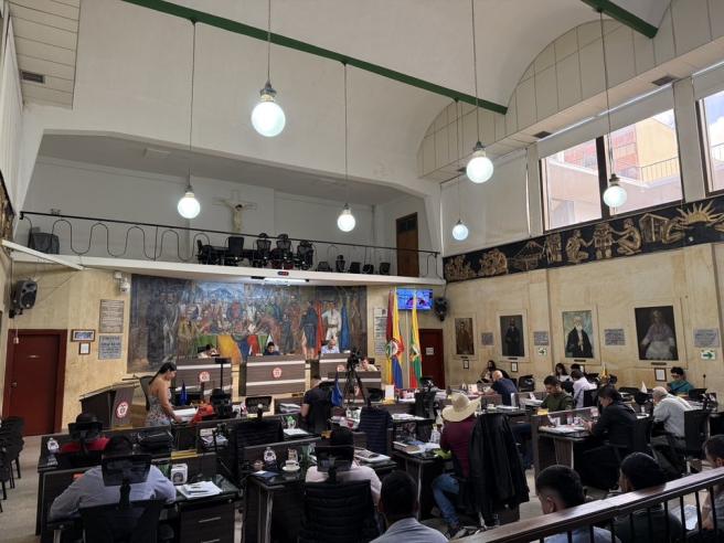 concejo municipal de Ibagué. 