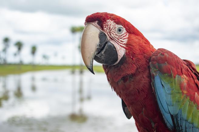 De acuerdo al reporte de noviembre del Ministerio de Comercio, Industria y Turismo, MinCIT, Colombia proyecta cerrar 2025 con más de 21,7 millones de movimientos de viajeros. 