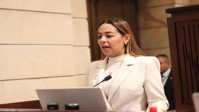 Ana Paola García, representante a la Cámara
