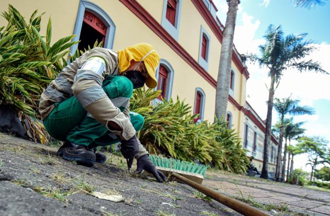 labor social en Ibagué