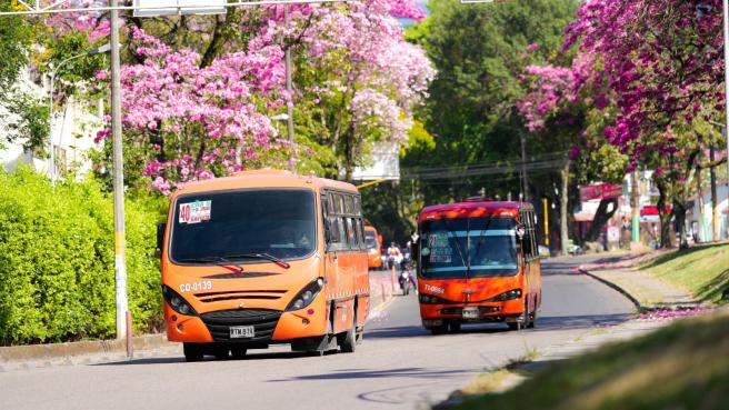 tarifa de buses en Ibagué. 