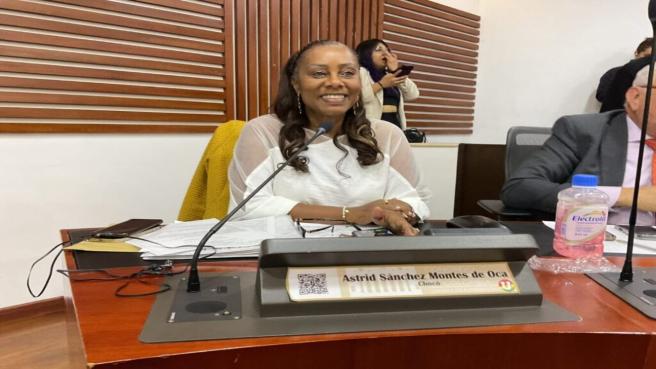 Astrid Sánchez Montes de Oca, representante a la Cámara.