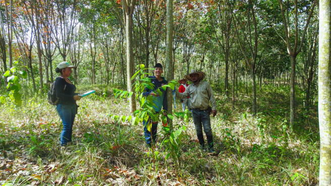  Si el Gobierno realmente quiere fortalecer el campo, debería empezar por reformar la arquitectura del crédito rural. 
