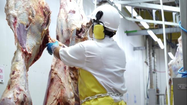 Cin bajo precio del dñolar buen inicio de las exportaciones de carne colombiana.