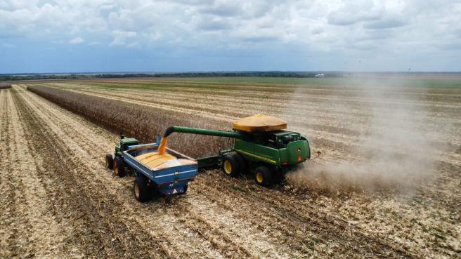 Fenalce hace un llamado al Gobierno Nacional a implementar políticas que den garantías a los agricultores y aseguren condiciones justas, que les permita aumentar las áreas de siembra
