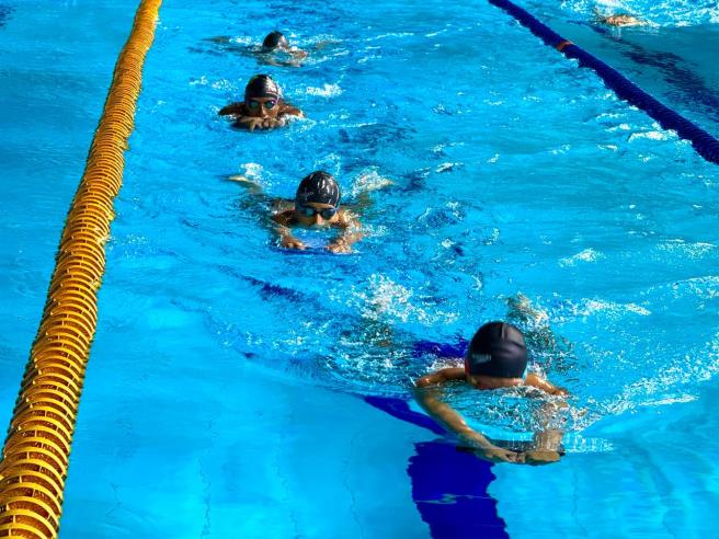 Liga de natacion del Tolima 