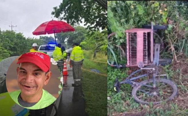 Atropellado Mariquita