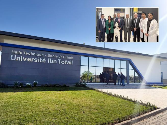 Universidad del Tolima 