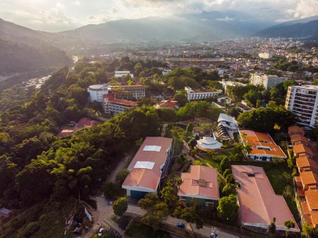 Universidad del Tolima 