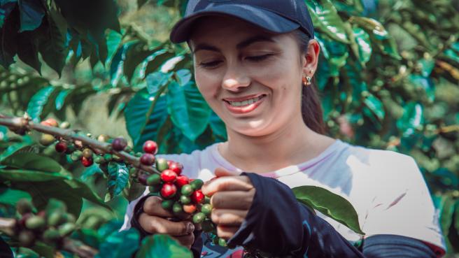 Las mujeres son las protagonistas de los créditos de emprendimiento por parte de Fincomercio en el Tolima