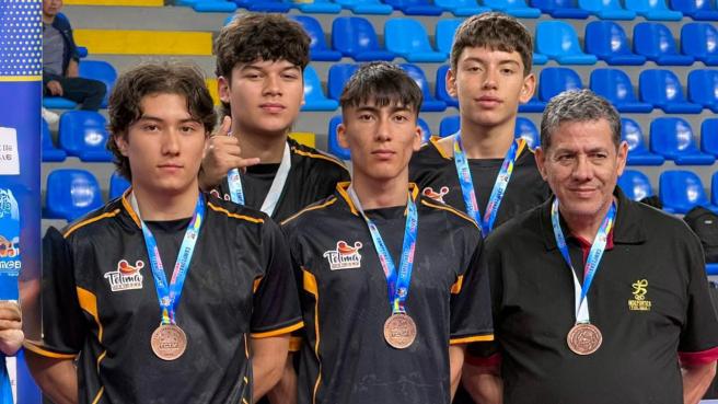 Liga de tenis de mesa 