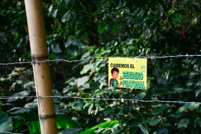 cortolima