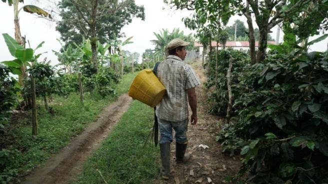 Campesinos se forman para producir mejor y proteger el agua y los bosques del Tolima