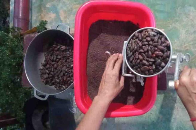 cacao