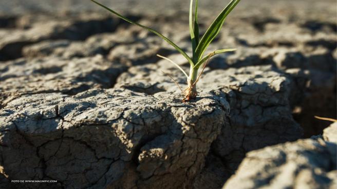 El Fenómeno de El Niño afectará con sequías a varias regiones del país.