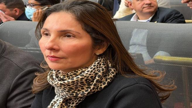 Milene Jarava, repesetante a la Cámara.