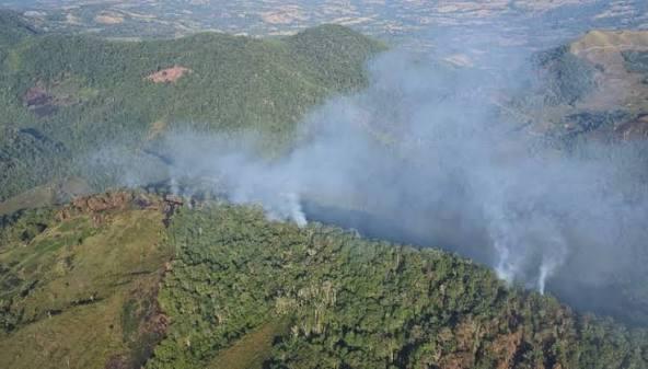 Bosque de Galilea 