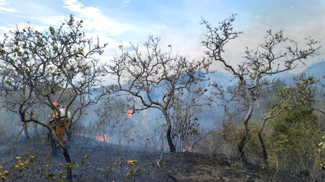 Incendios 