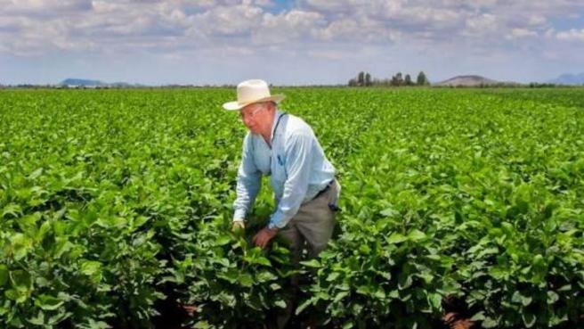 La meta es desarrollar un modelo de “crédito a la carta”, que facilite el acceso a recursos financieros oportunos y flexibles para pequeños, medianos y grandes productores del campo.