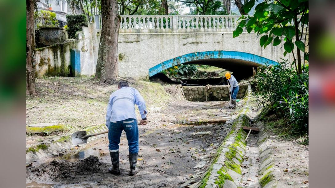 Limpieza Parque Centenario