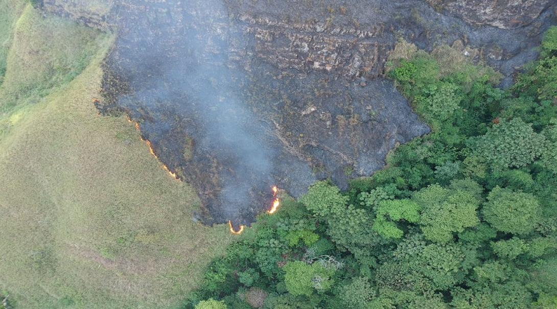 Incendio forestal en Carmen de Apicalá