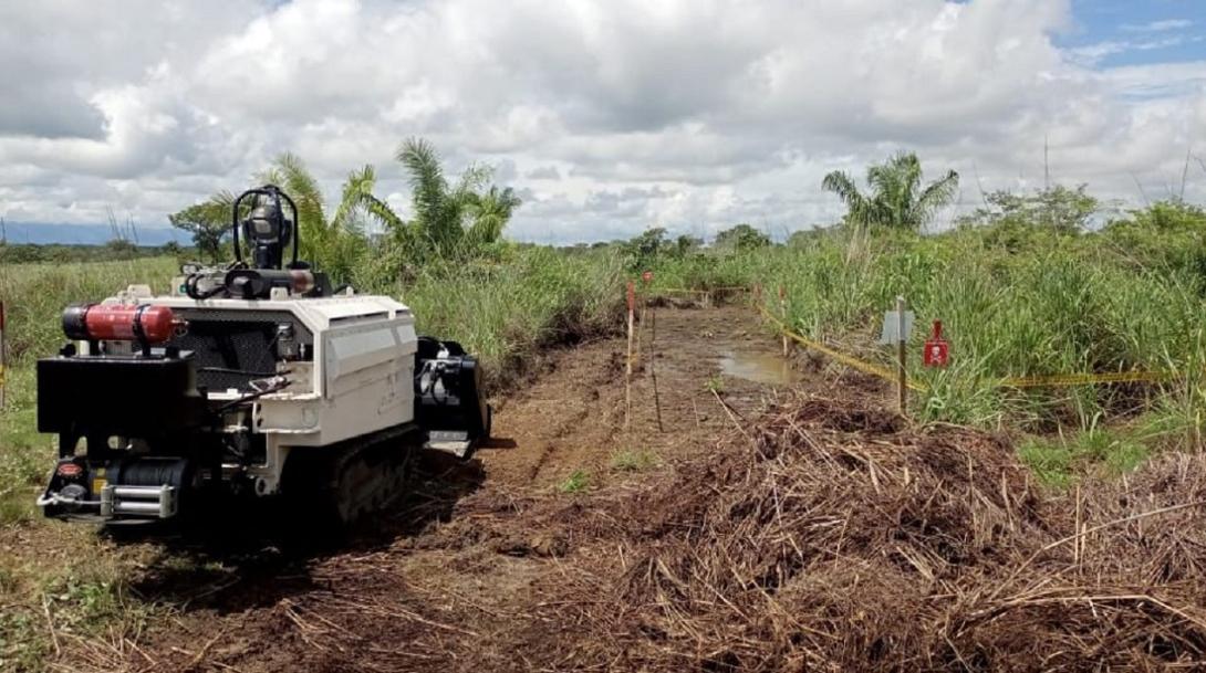 Chaparral desminado humanitario