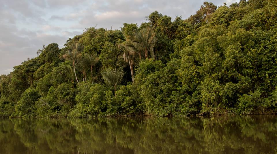 Amazonas