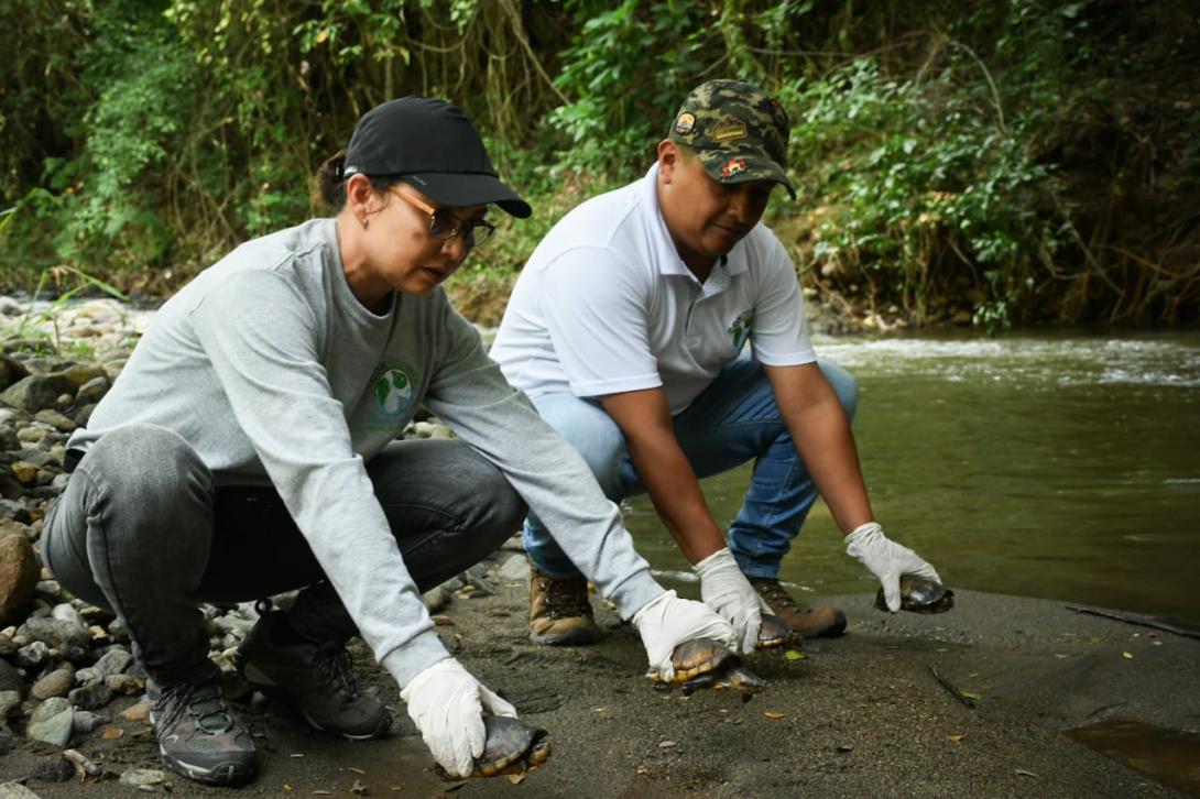 Cortolima liberación de fauna silvestre 2024 junio 12
