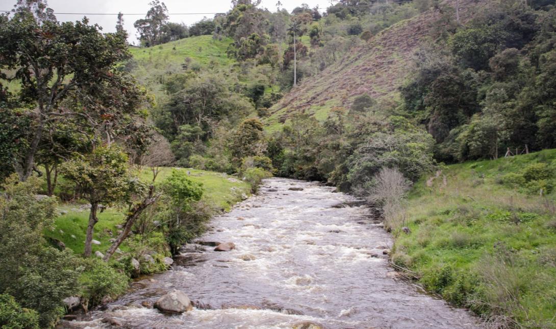 Cortolima día del ambiente 2024 junio 5