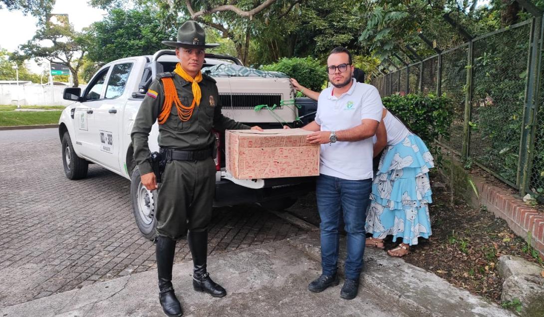 Cortolima rescata ocelote en Coyaima 2024 julio 3