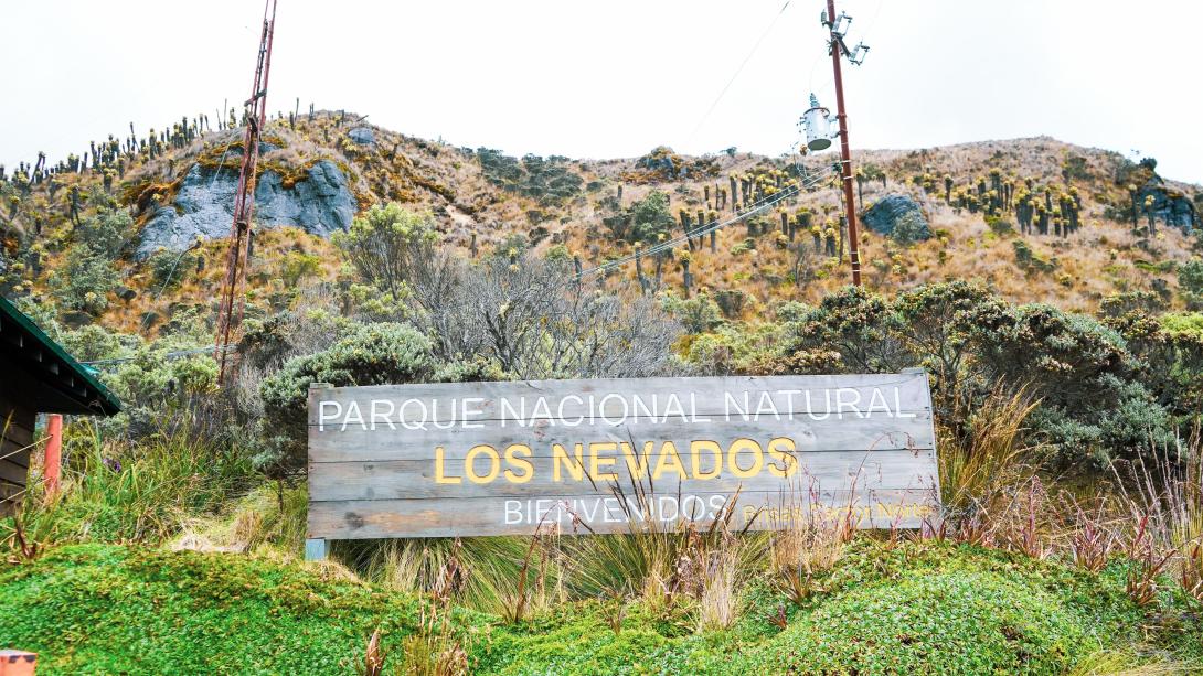 Parque