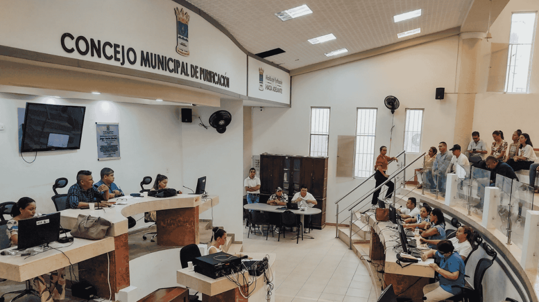 Concejo Purificación