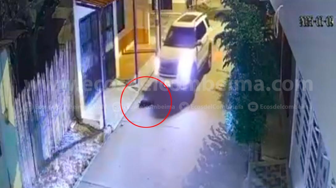 En video: vehículo de alta gama le pasó por encima a un perro en Guamo ...