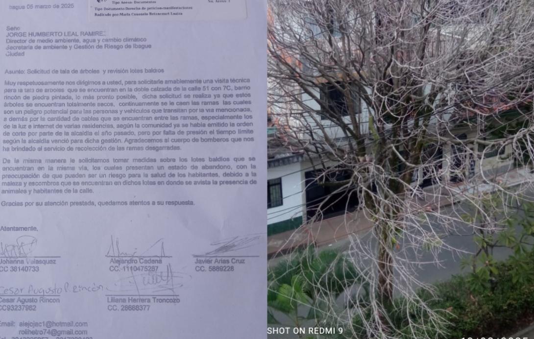 Denuncia Piedra Pintada