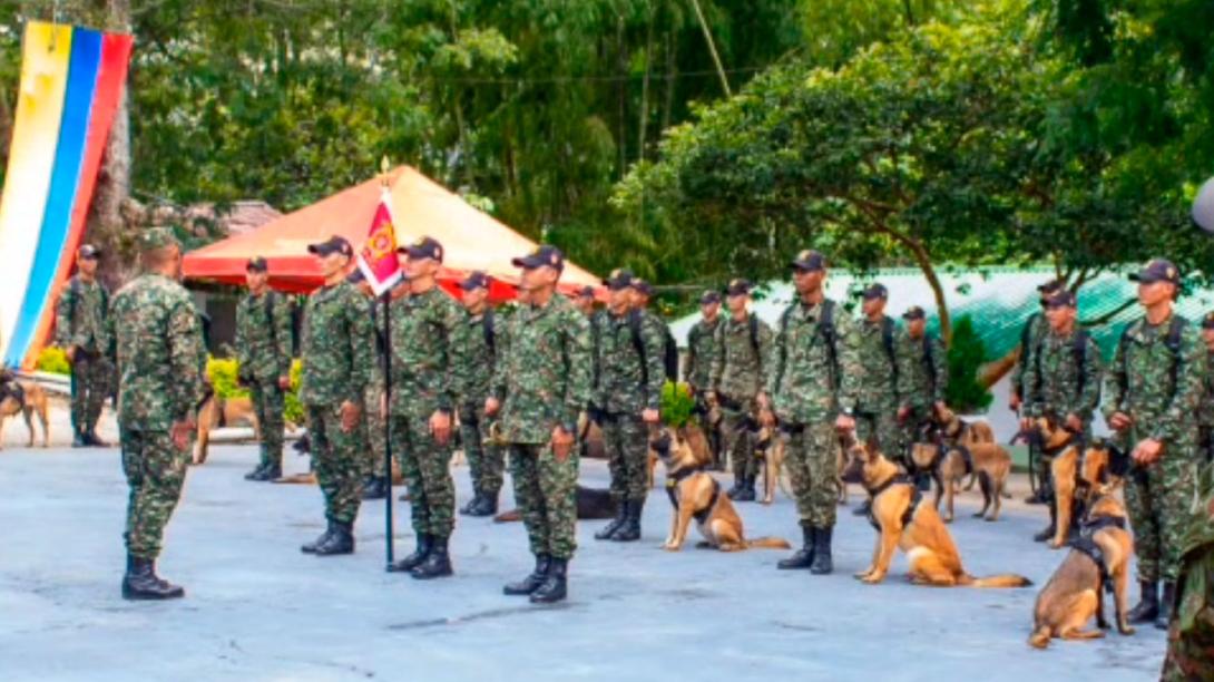 caninos-antiexplosivos.jpg