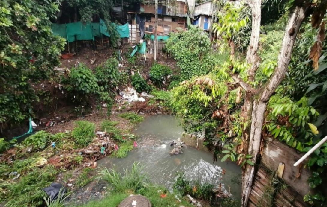 Hato de la Virgen