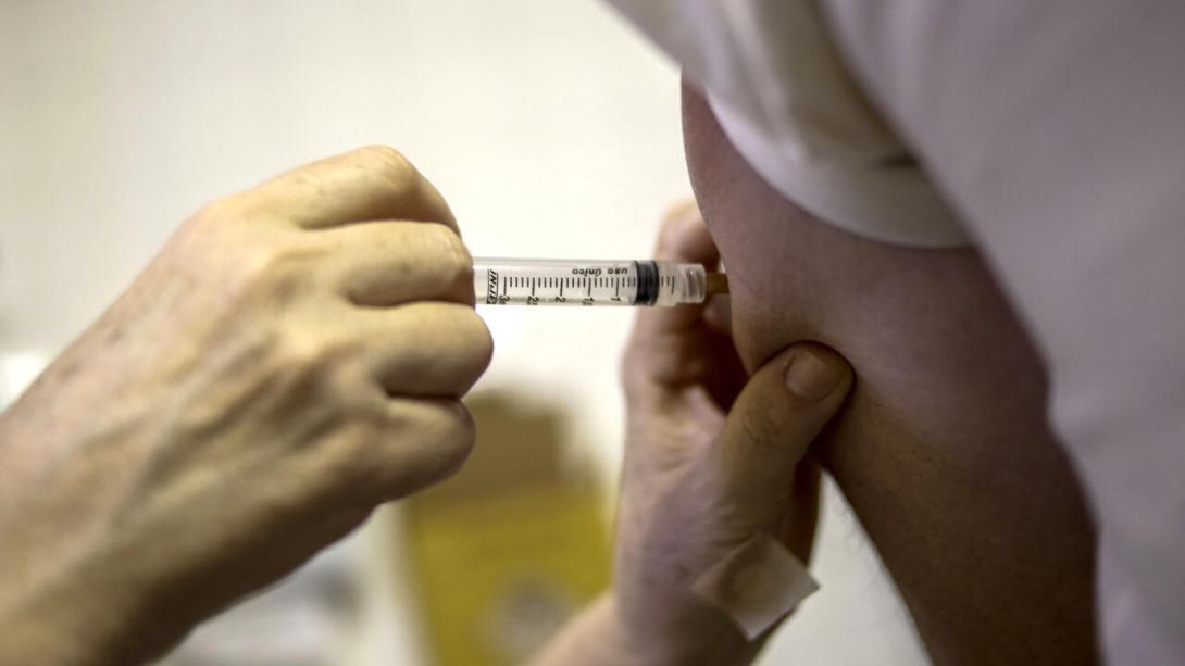 Se aumentará la vacunacuón para prevenir el aumento del brote de fiebre amarilla.