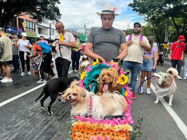 Desfile