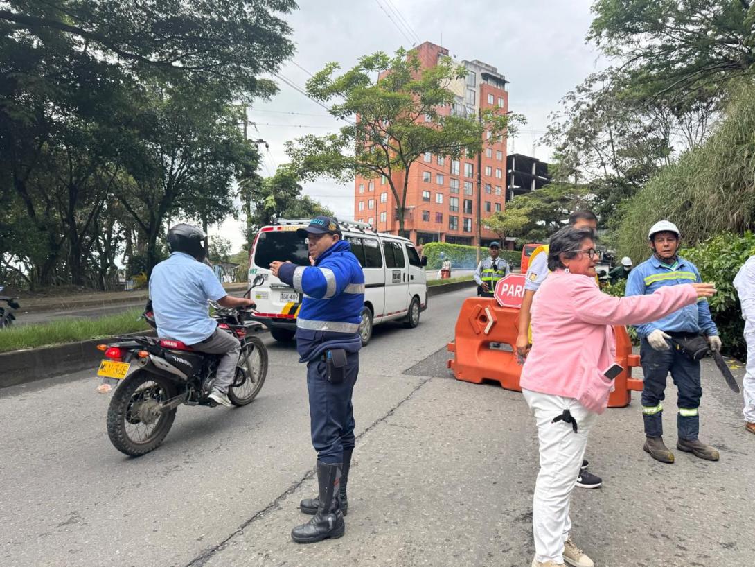 Movilidad