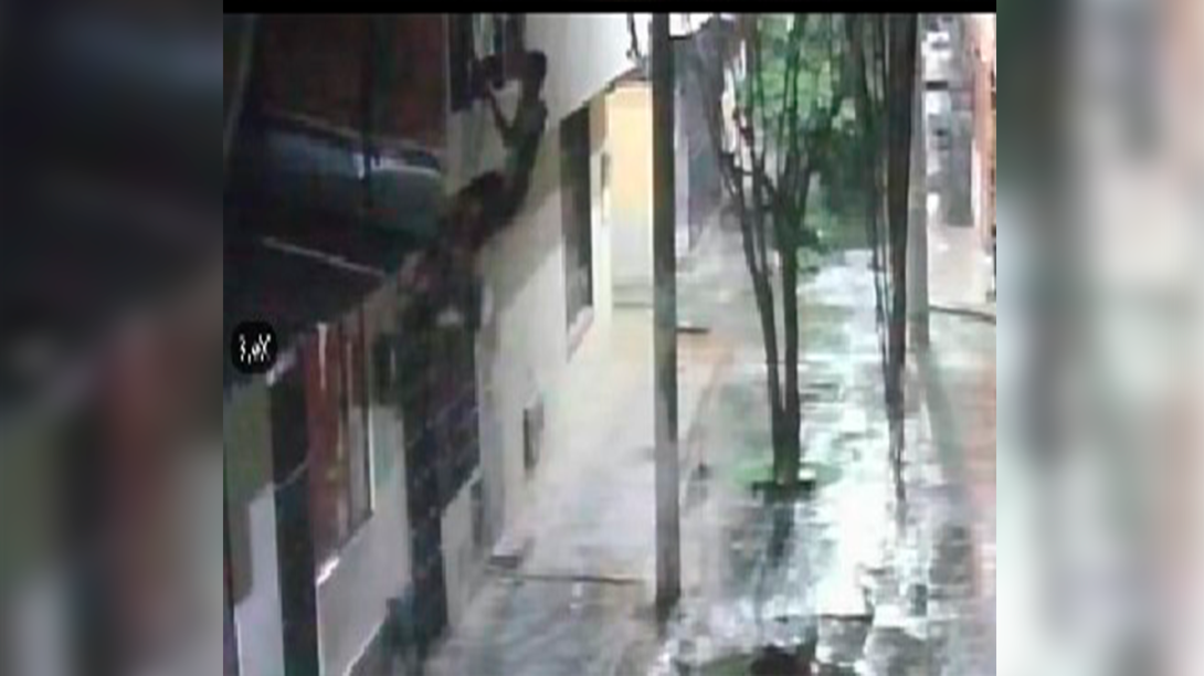 Ladrón ciudadela