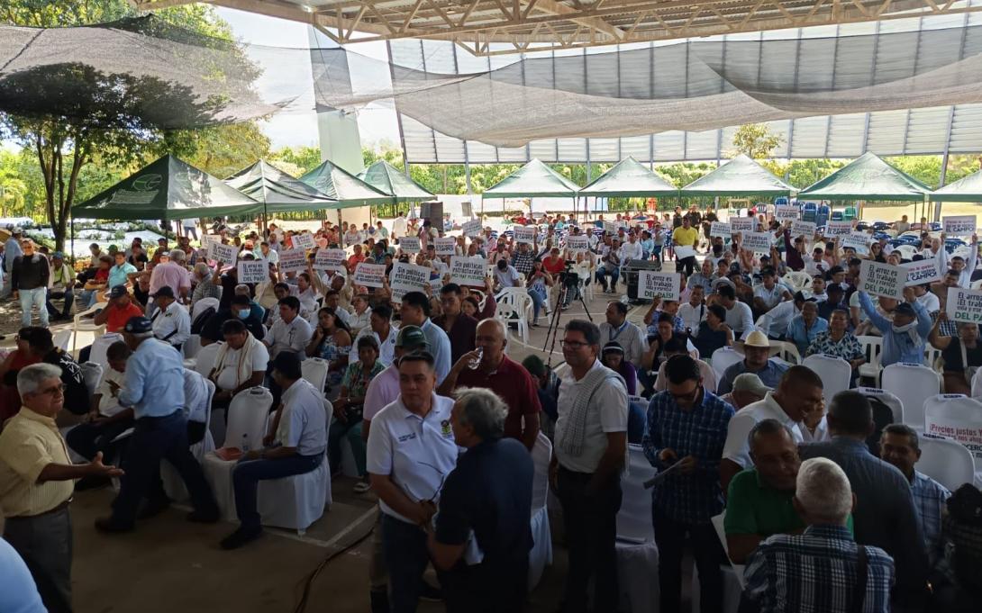 arroceros